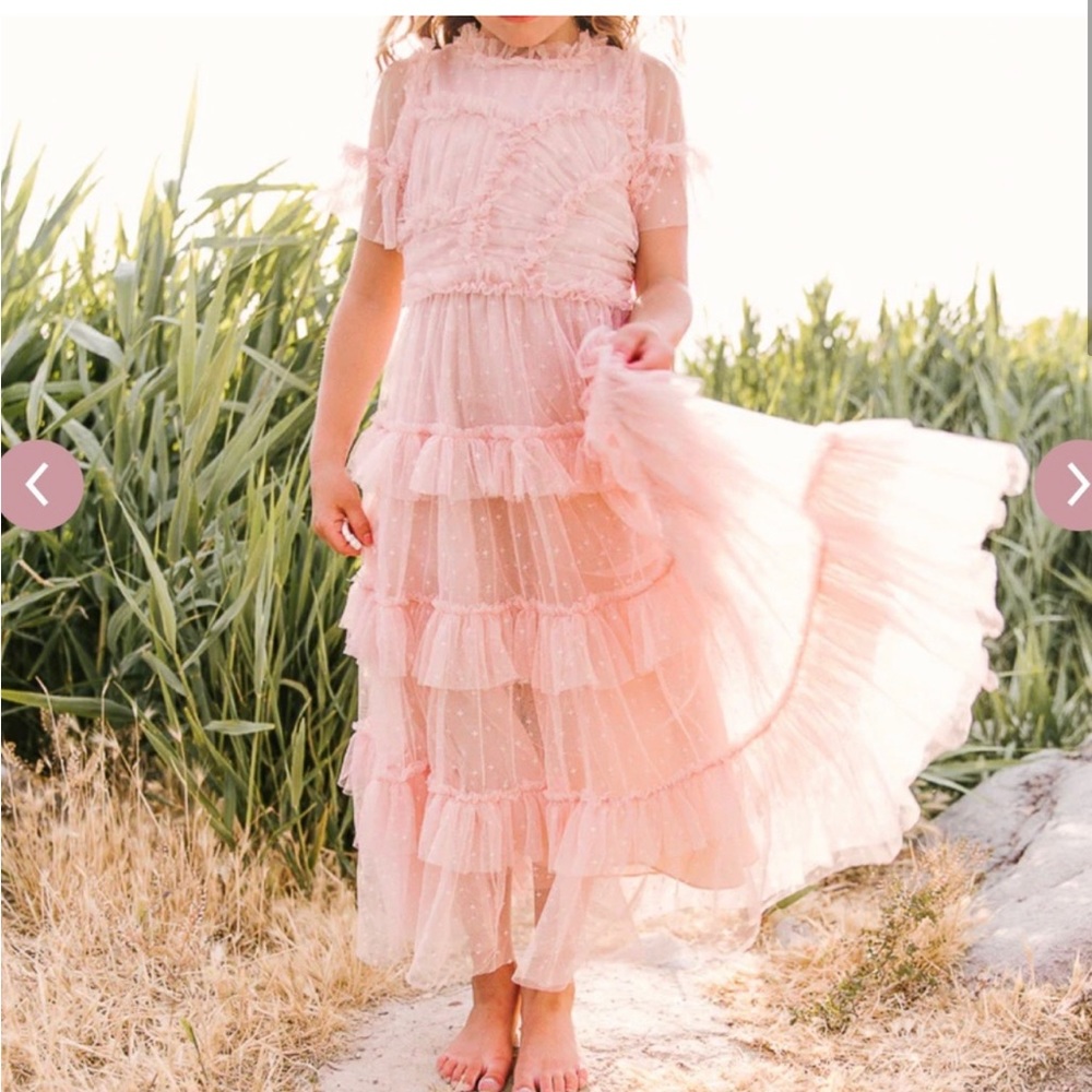 Mini Ivy City Co whimsical dress blush 2T